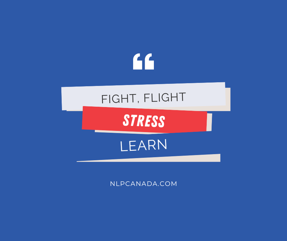 Stress: Fight, Flight or Learn