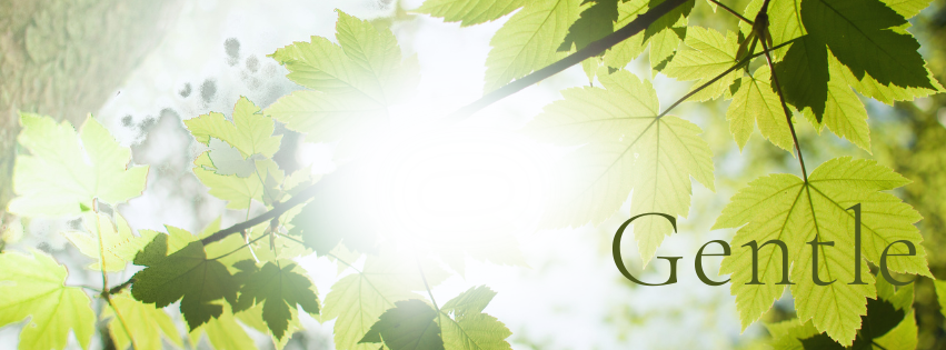 Gentle
